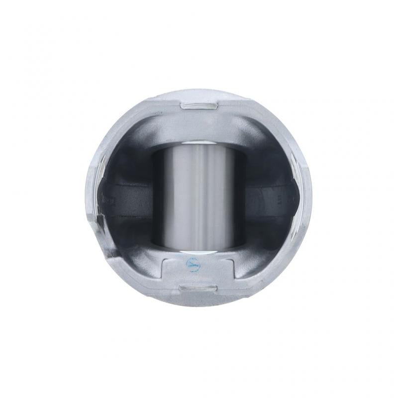 PAI INDUSTRIES - 111159 - PISTON KIT