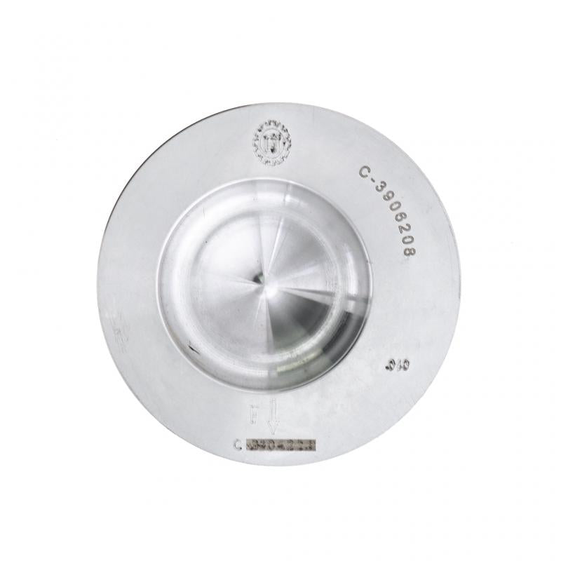 PAI INDUSTRIES - 111206 - PISTON KIT