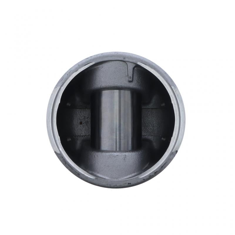 PAI INDUSTRIES - 111231 - PISTON KIT