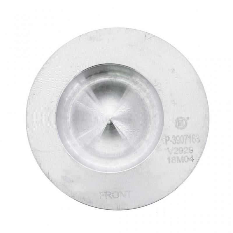 PAI INDUSTRIES - 111236 - PISTON KIT