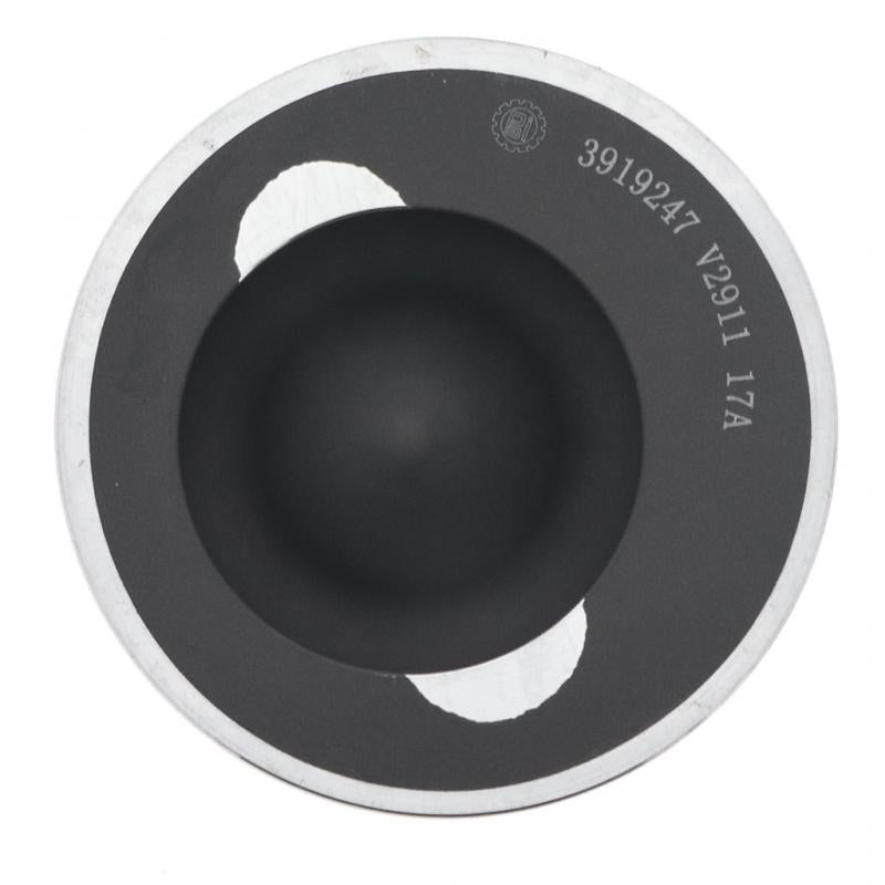 PAI INDUSTRIES - 111271 - PISTON KIT