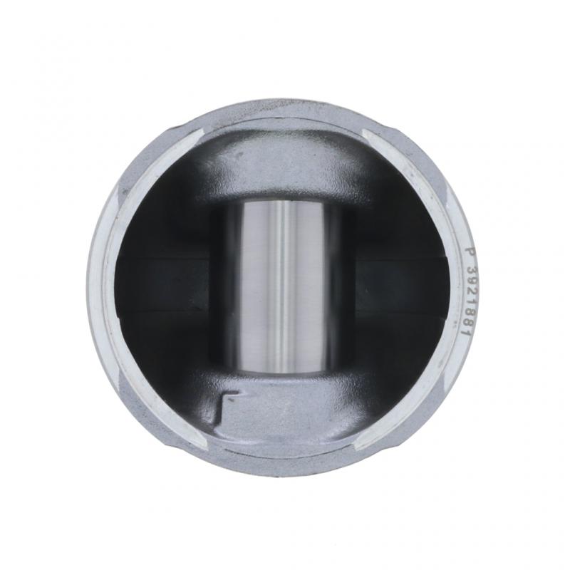 PAI INDUSTRIES - 111348 - PISTON KIT