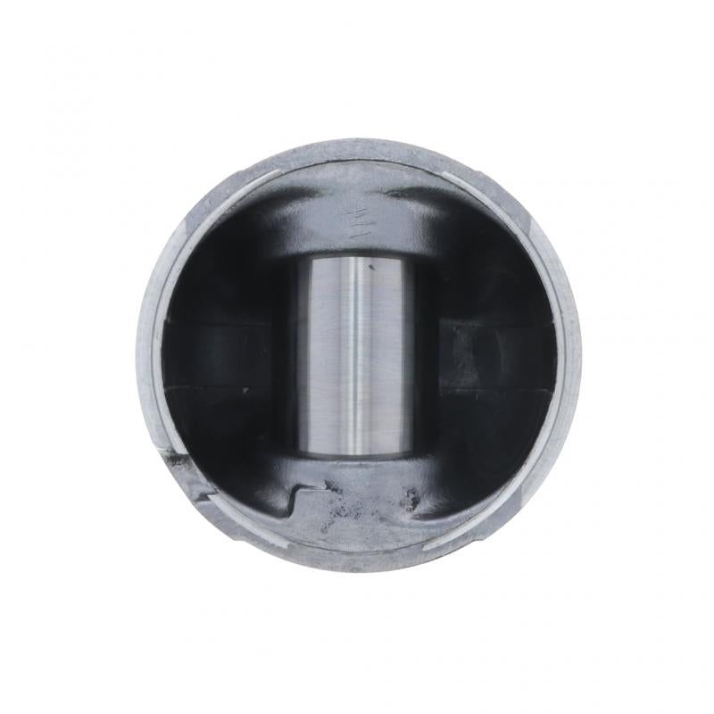 PAI INDUSTRIES - 111501 - PISTON KIT