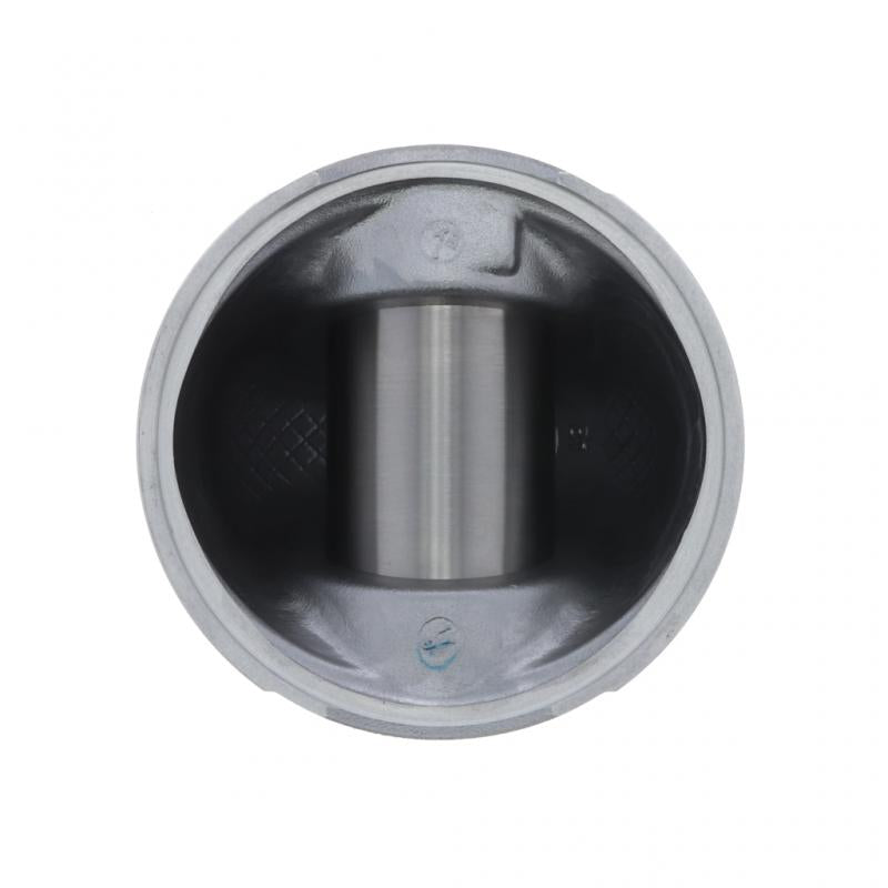 PAI INDUSTRIES - 111517 - PISTON KIT