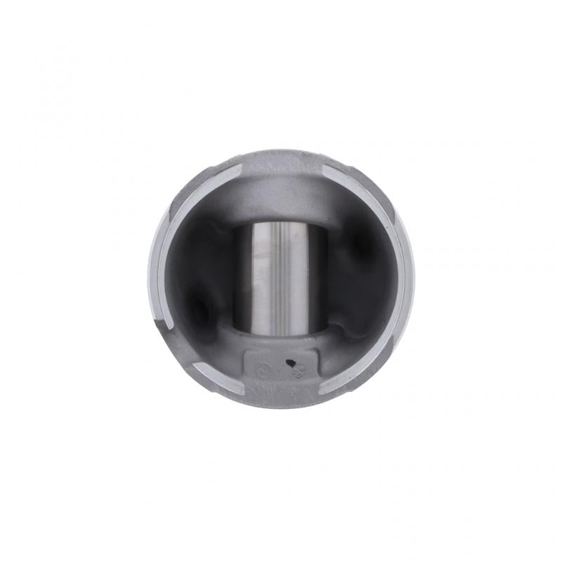 PAI INDUSTRIES - 111557 - PISTON KIT