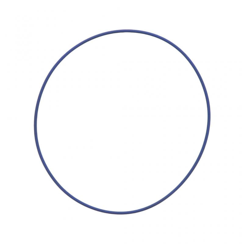 PAI INDUSTRIES - 121200 - LINER O-RING (6PCS) REPLACES CUMMINS 2873961