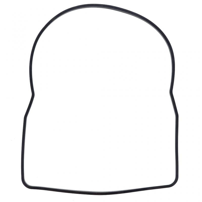 PAI INDUSTRIES - 121398 - RECTANGULAR SEALING RING REPLACES CUMMINS 3096260