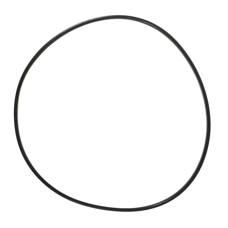 PAI INDUSTRIES - 136020 - SEALING RING (6PCS) REPLACES CUMMINS 3907177