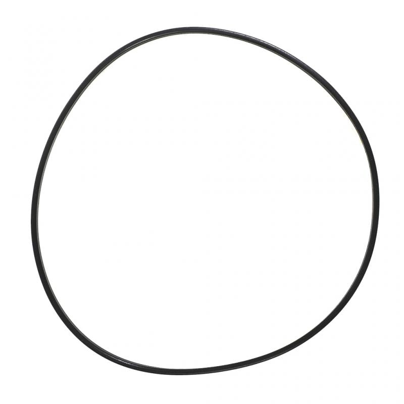 PAI INDUSTRIES - 136020 - SEALING RING (6PCS) REPLACES CUMMINS 3907177