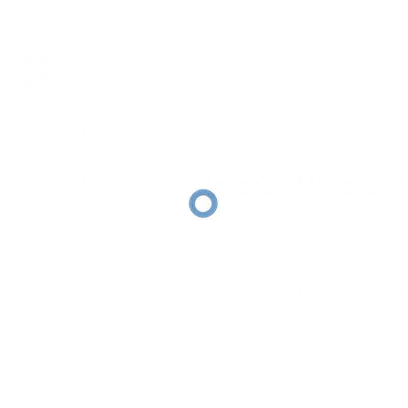 PAI INDUSTRIES - 136160 - RECTANGULAR SEALING RING (2PCS) REPLACES CUMMINS 3684091