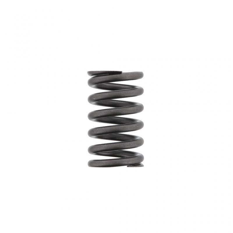 PAI INDUSTRIES - 192054 - VALVE SPRING (4PCS) REPLACES CUMMINS 3900276
