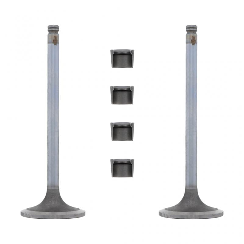 PAI INDUSTRIES - 192151 - INTAKE VALVE KIT (2PCS) REPLACES CUMMINS 3802812