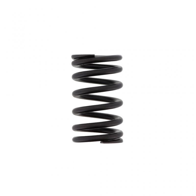 PAI INDUSTRIES - 192181 - VALVE SPRING (6PCS) REPLACES CUMMINS 4936080