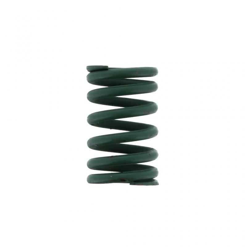 PAI INDUSTRIES - 192184 - VALVE SPRING (2PCS) REPLACES CUMMINS 3925667
