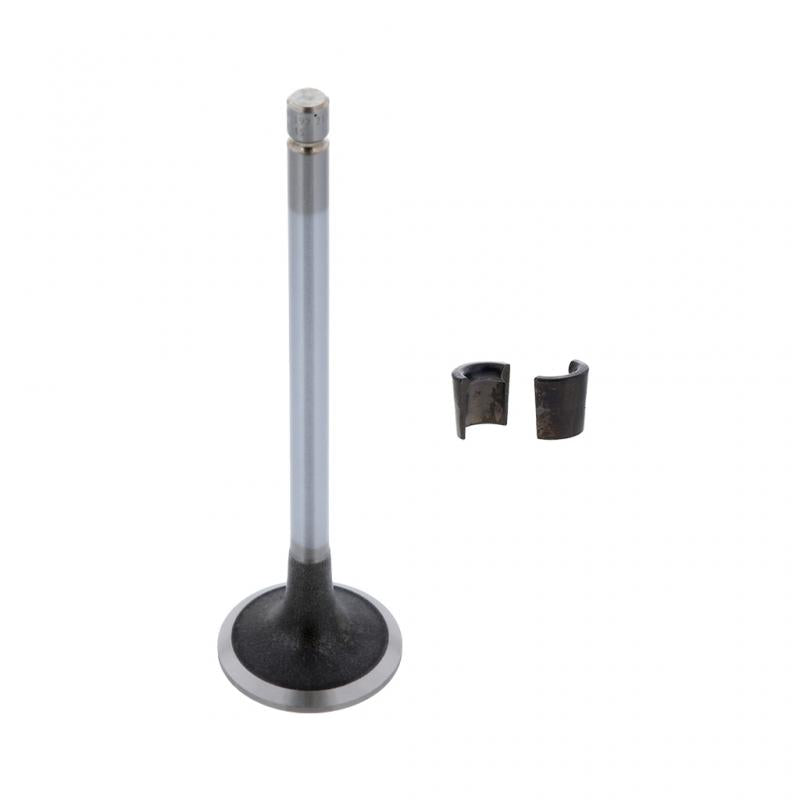 PAI INDUSTRIES - 192216 - INTAKE VALVE KIT (2PCS) REPLACES CUMMINS 3800340