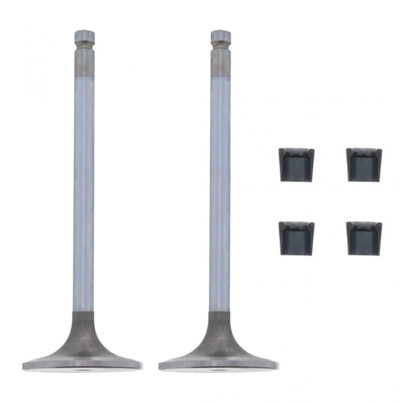 PAI INDUSTRIES - 192220 - INTAKE VALVE KIT (2PCS) REPLACES CUMMINS 3802658