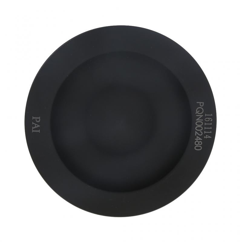 PAI INDUSTRIES - 311111 - PISTON KIT