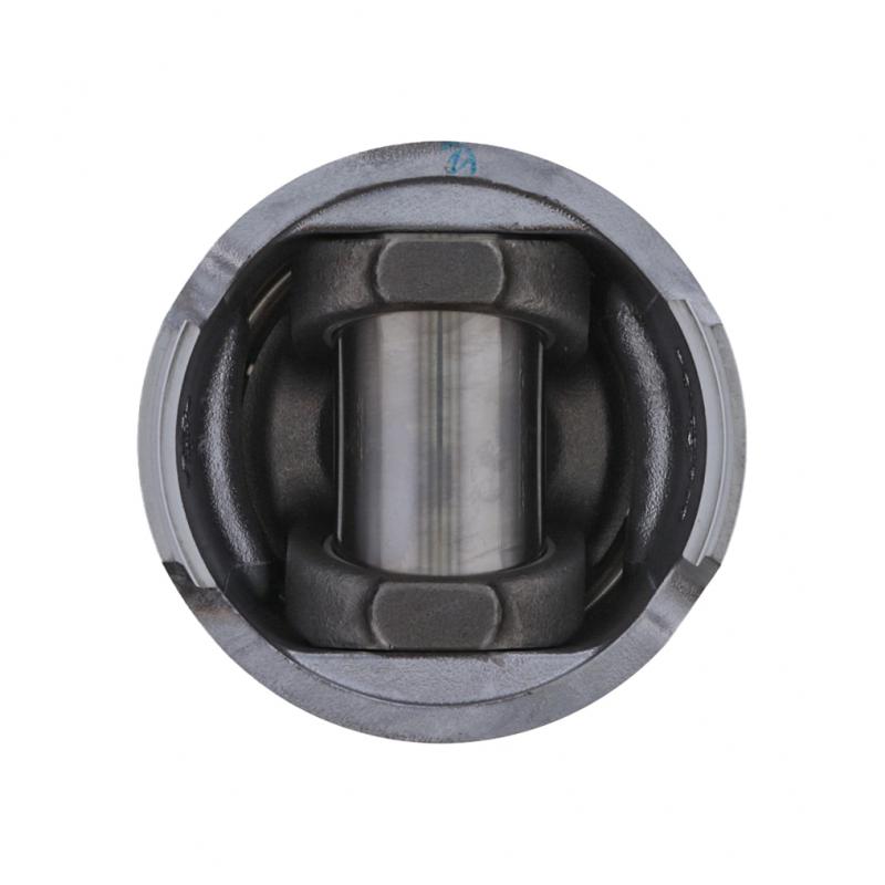 PAI INDUSTRIES - 311175 - PISTON KIT