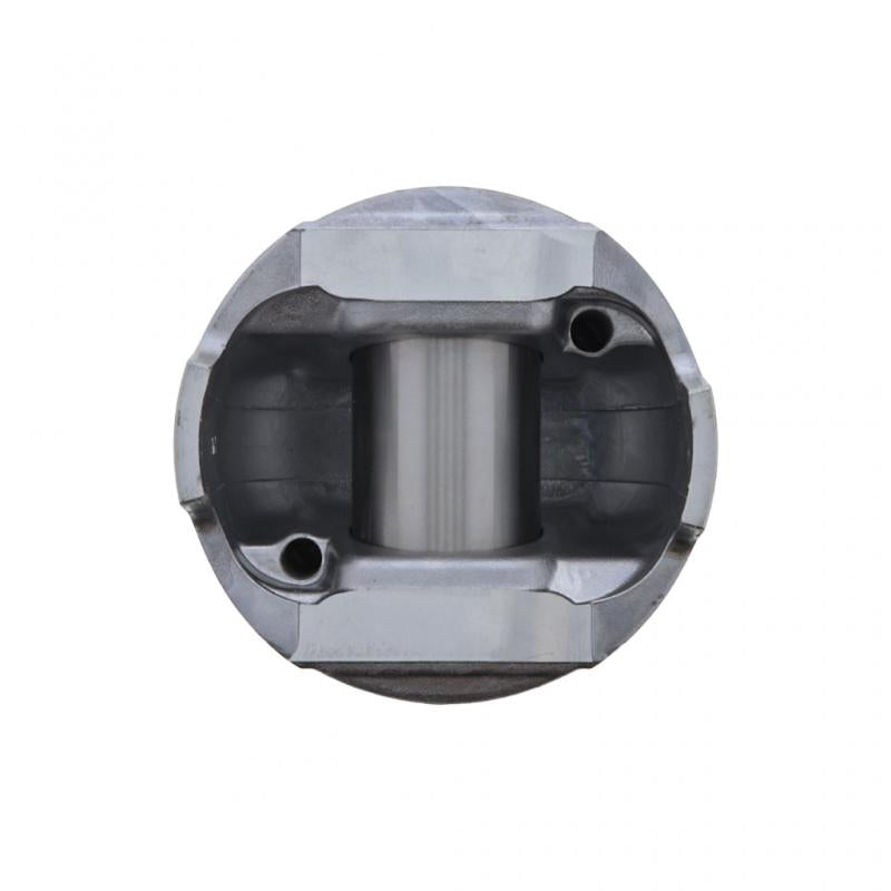 PAI INDUSTRIES - 311281 - PISTON KIT