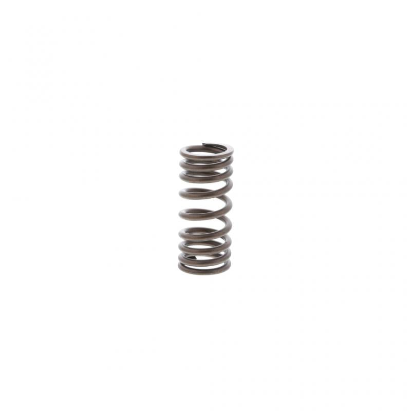 PAI INDUSTRIES - 392049 - OUTER VALVE SPRING (6PCS) REPLACES CATERPILLAR 2479908