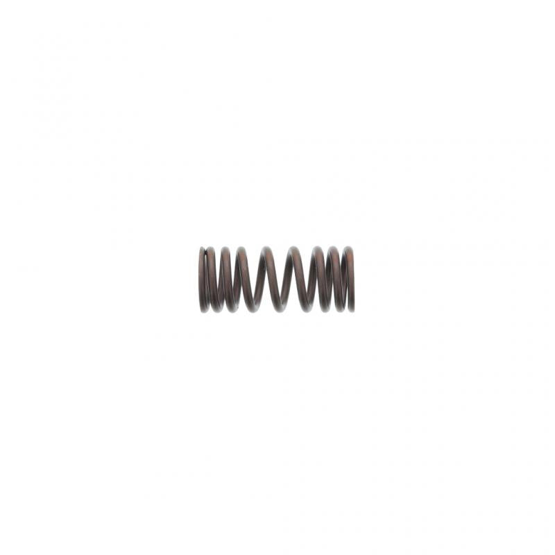 PAI INDUSTRIES - 392049 - OUTER VALVE SPRING (6PCS) REPLACES CATERPILLAR 2479908