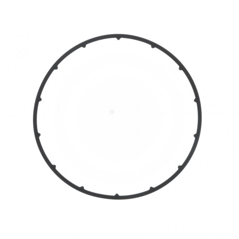 PAI INDUSTRIES - 421242 - WATER PUMP O-RING REPLACES NAVISTAR 1841348C1