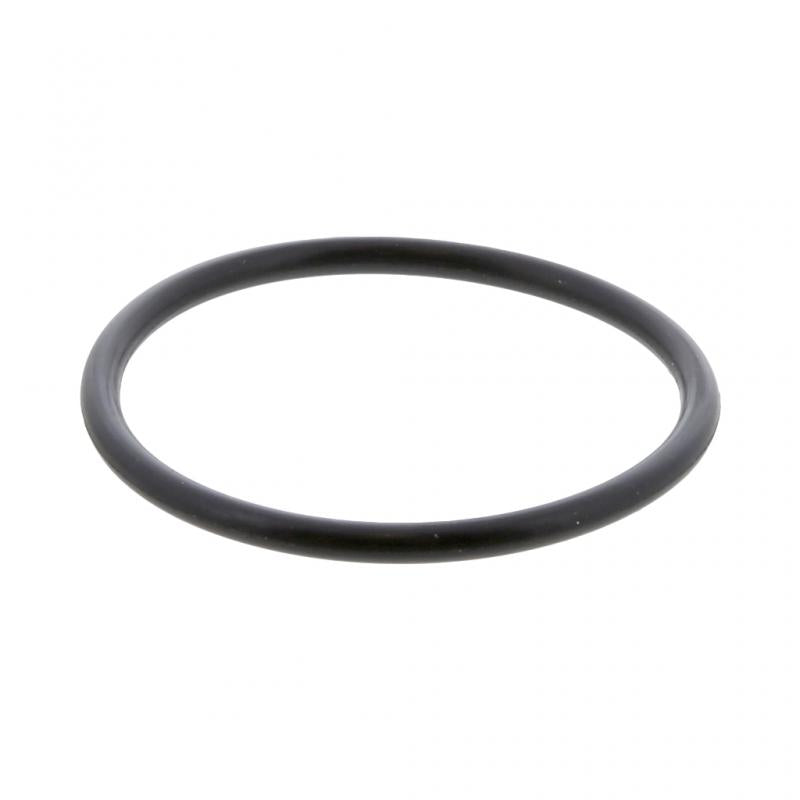 PAI INDUSTRIES - 421243 - O-RING (6PCS) REPLACES NAVISTAR 1899095C2