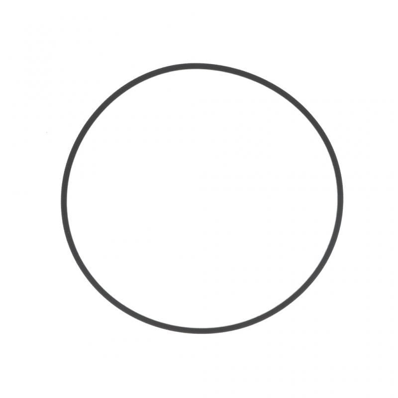 PAI INDUSTRIES - 421273 - RECTANGULAR SEALING RING (10PCS) REPLACES NAVISTAR 1817862C1