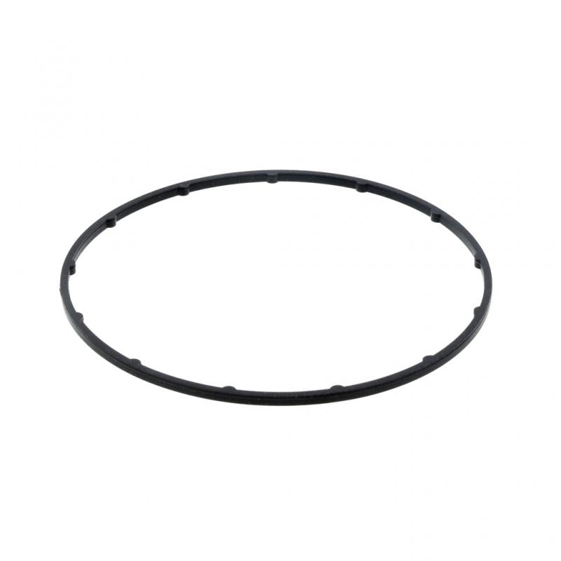 PAI INDUSTRIES - 431318 - OIL PUMP GASKET (2PCS) REPLACES NAVISTAR 1841350C1