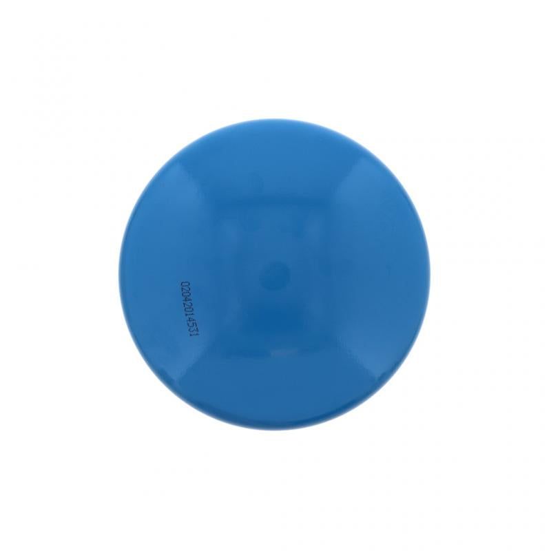 PAI INDUSTRIES - 450501 - OIL FILTER (12PCS) REPLACES NAVISTAR 1811953C1