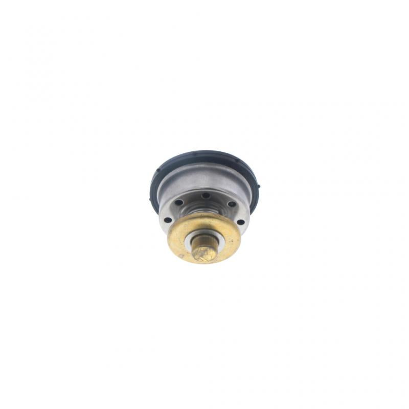 PAI INDUSTRIES - 481834 - THERMOSTAT KIT REPLACES NAVISTAR 1842130C1