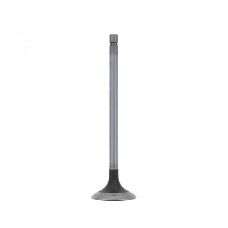 PAI INDUSTRIES - 491005 - EXHAUST VALVE (2PCS) REPLACES NAVISTAR 1824838C1