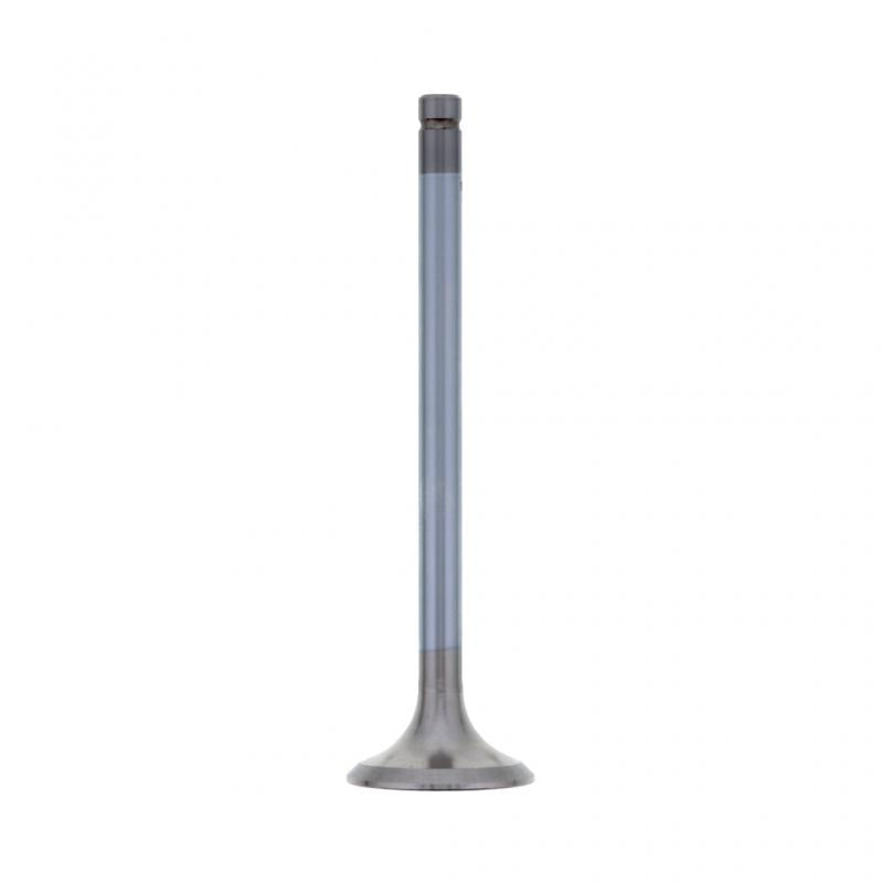 PAI INDUSTRIES - 491006 - EXHAUST VALVE (2PCS) REPLACES NAVISTAR 1824842C1