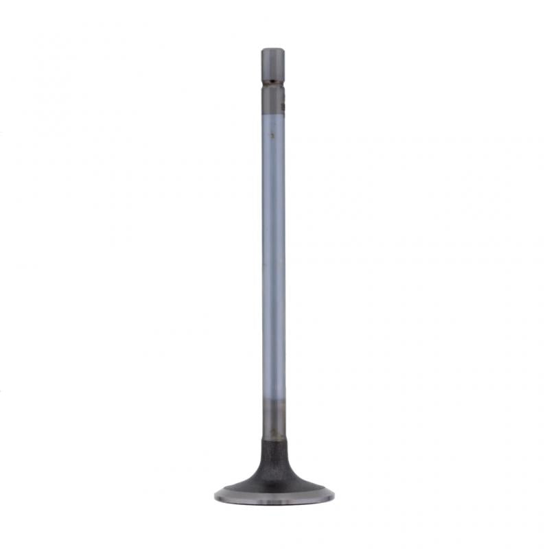 PAI INDUSTRIES - 491012 - INTAKE VALVE (2PCS) REPLACES NAVISTAR 1839968C1