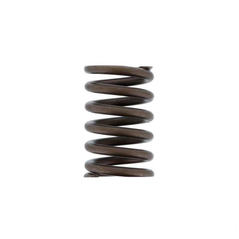 PAI INDUSTRIES - 491030 - VALVE SPRING (2PCS) REPLACES NAVISTAR 677349C1