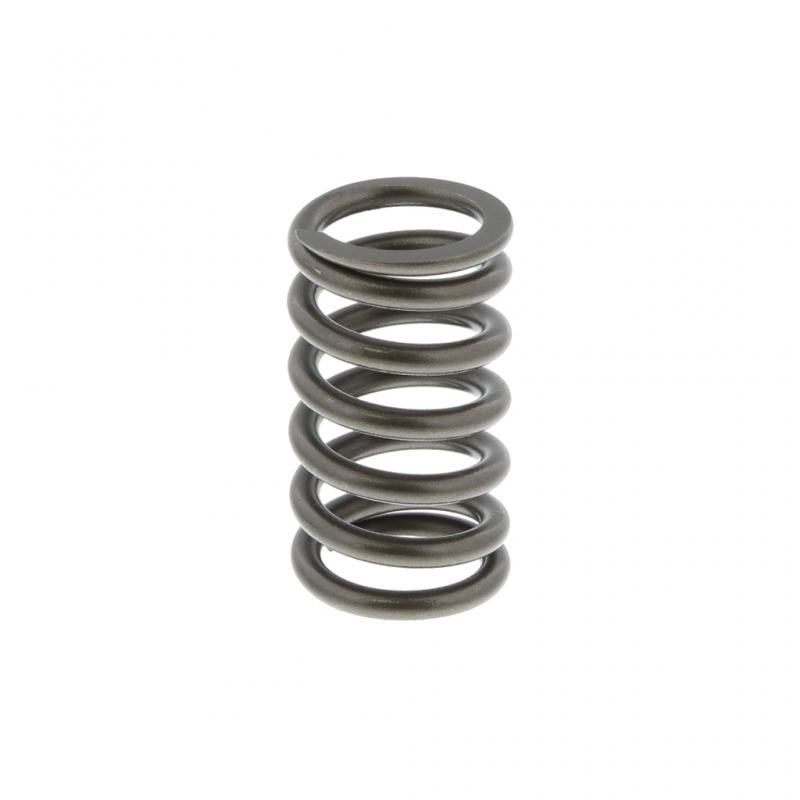 PAI INDUSTRIES - 491031 - EXHAUST SPRING (2PCS) REPLACES NAVISTAR 1825540C1