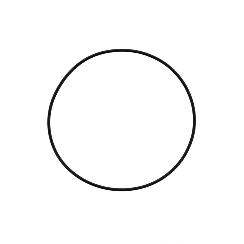 PAI INDUSTRIES - 621257 - FUEL FILTER HOUSING O-RING (5PCS) REPLACES DETROIT DIESEL A0179979445