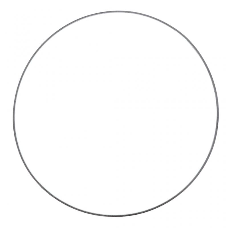 PAI INDUSTRIES - 631356 - DPF GASKET (2PCS) REPLACES DETROIT DIESEL A4709970045