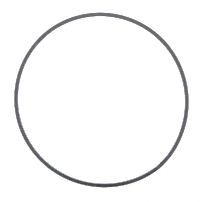 PAI INDUSTRIES - 631357 - DPF GASKET (2PCS) REPLACES DETROIT DIESEL A6804910480