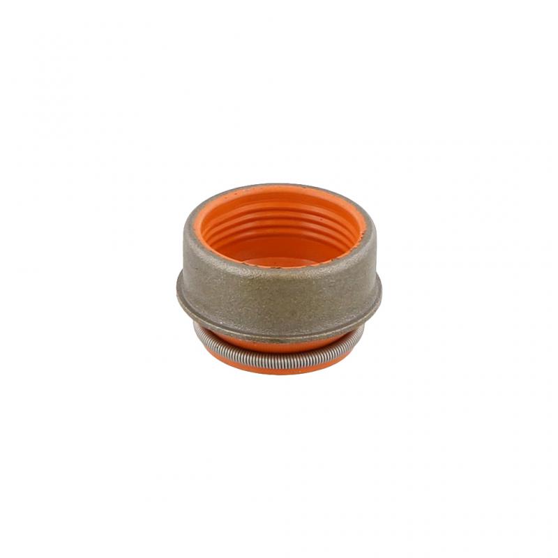 PAI INDUSTRIES - 700007 - VALVE SEAL (6PCS) REPLACES PACCAR 1813133