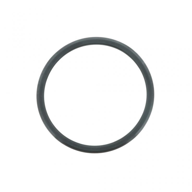 PAI INDUSTRIES - 740024 - THERMOSTAT SEAL (2PCS) REPLACES FREIGHTLINER A0249972848