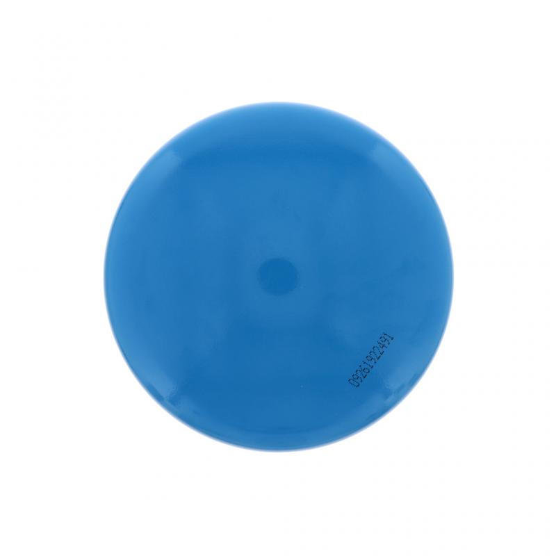 PAI INDUSTRIES - 804098 - BYPASS OIL FILTER (12PCS) REPLACES MACK 20843764