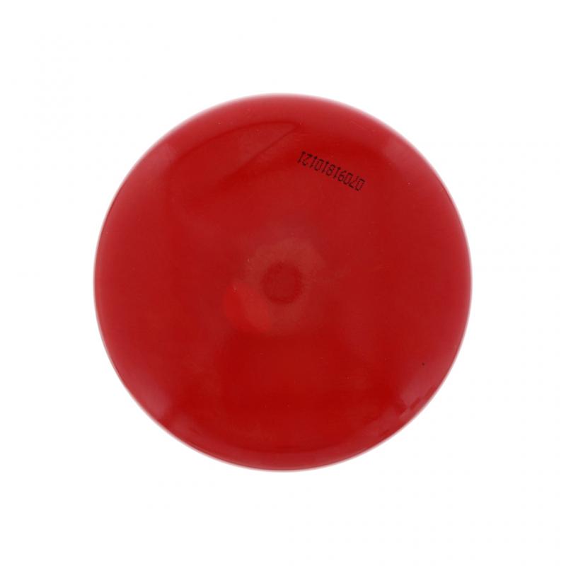 PAI INDUSTRIES - 804099 - SECONDARY FUEL FILTER (12PCS) REPLACES MACK 20972295