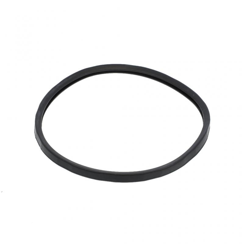 PAI INDUSTRIES - 831022 - THERMOSTAT SEAL (4PCS) REPLACES MACK 21503575