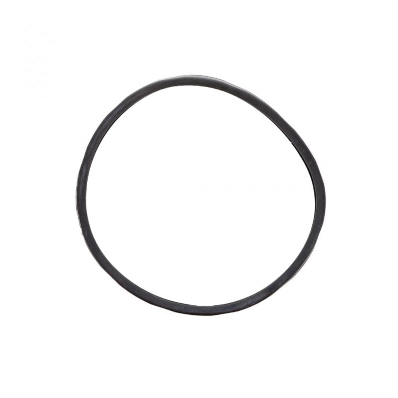 PAI INDUSTRIES - 831022 - THERMOSTAT SEAL (4PCS) REPLACES MACK 21503575