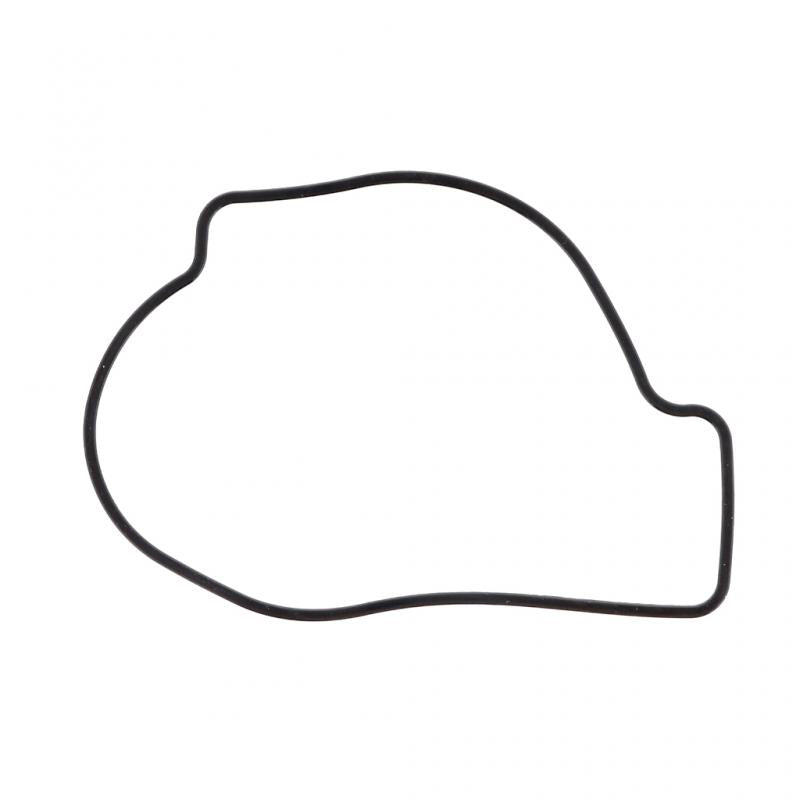 PAI INDUSTRIES - 831096 - THERMOSTAT SEAL GASKET REPLACES VOLVO 1677180