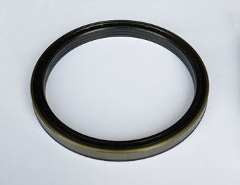 CASE AFTERMARKET - 247877A1 - SEAL