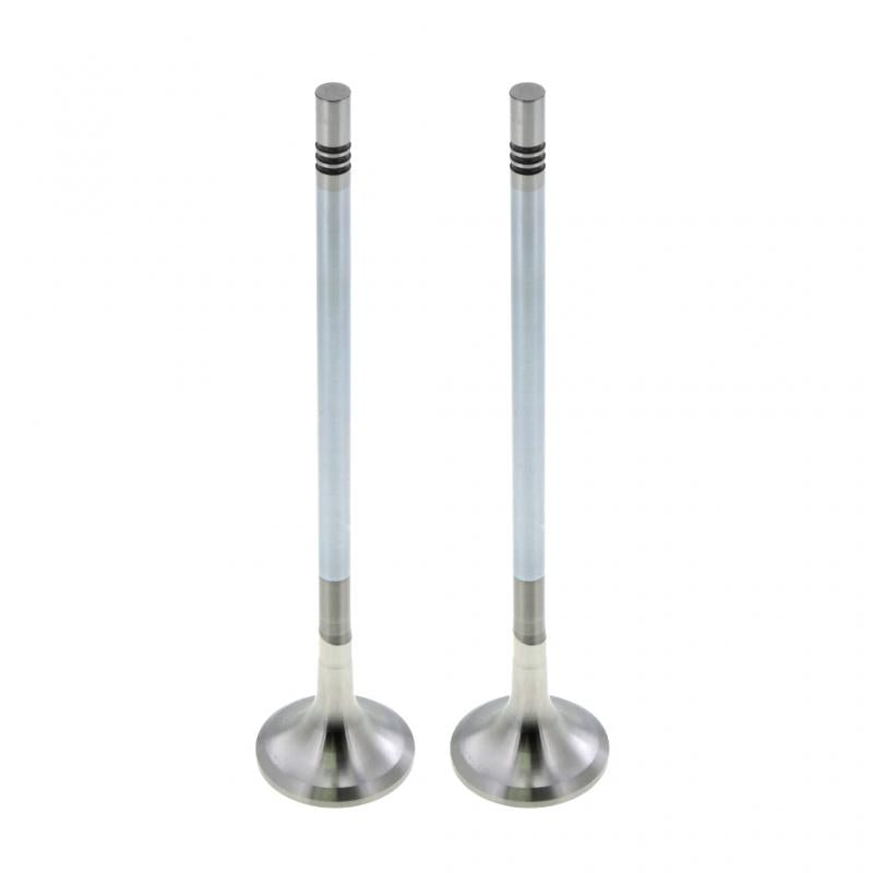 PAI INDUSTRIES - 845011 - EXHAUST VALVE (2PCS) REPLACES MACK 20768519