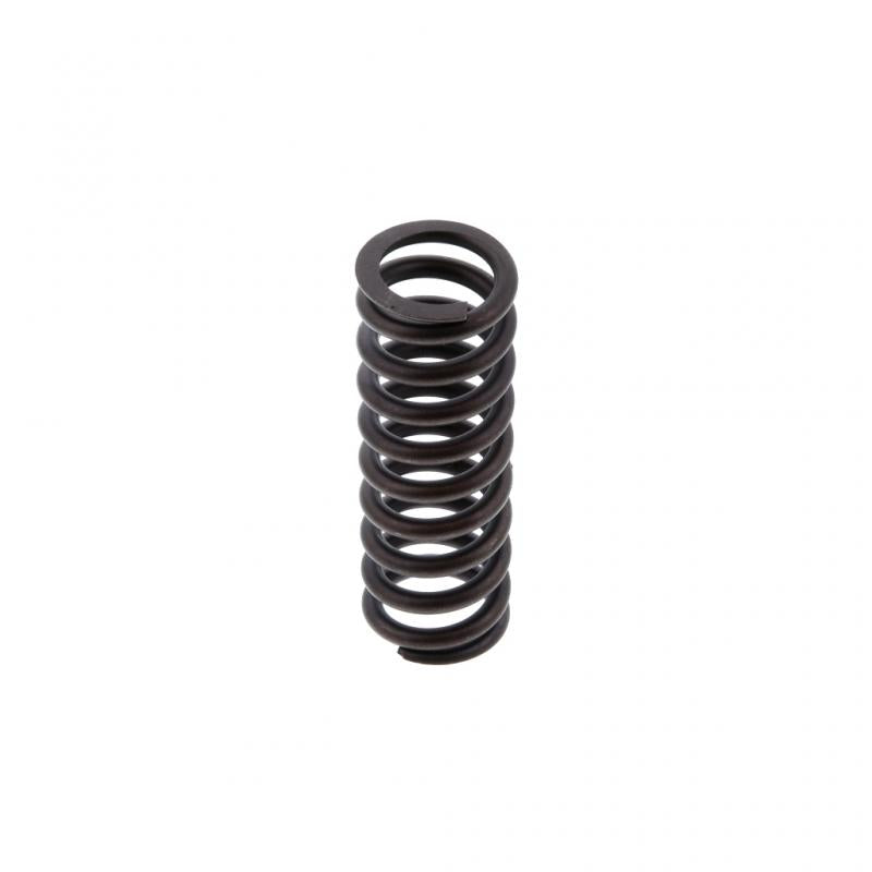 PAI INDUSTRIES - 892001 - INNER VALVE SPRING (6PCS) REPLACES MACK 3183211