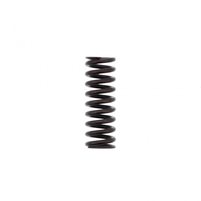 PAI INDUSTRIES - 892001 - INNER VALVE SPRING (6PCS) REPLACES MACK 3183211